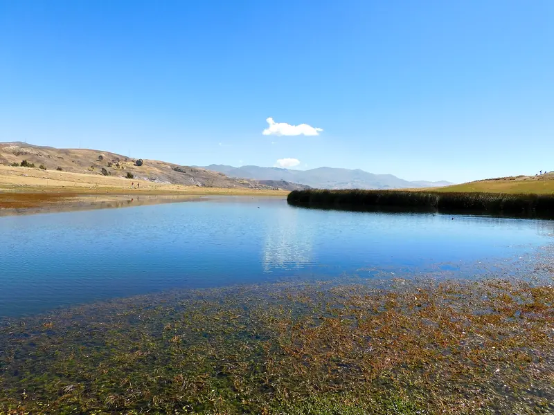 Orilla de la laguna Wilcacocha con totora y cielo azul
